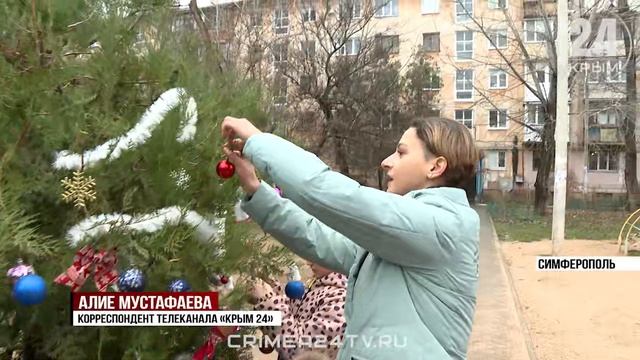 Колючая мечта: появится ли праздничная ель в сквере на Москольце в Симферополе