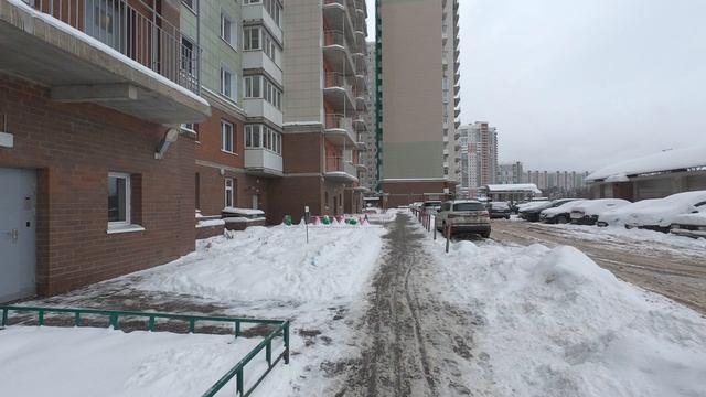 Середина Декабря 2024 года