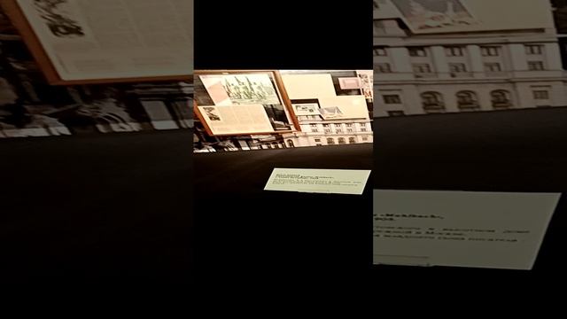 VID_20241214_145206.mp4