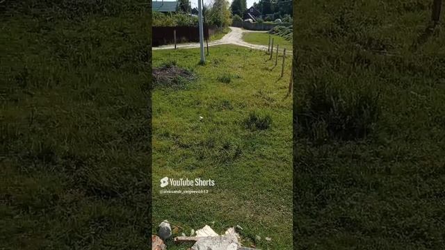 Началась уплотнительная застройка по-деревенски
