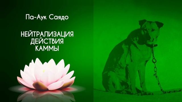 13. Нейтрализация действия кармы. действие каммы (кармы) . Па-Аук Саядо. ГЛАВА 6. Аудиокнига