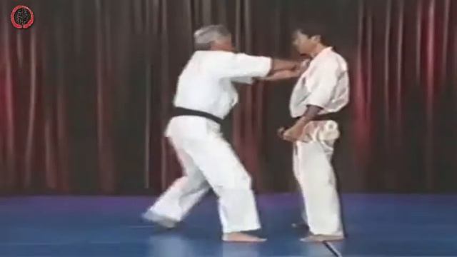 Self-Defense Techniques part3 - Bobby Lowe 8 Dan