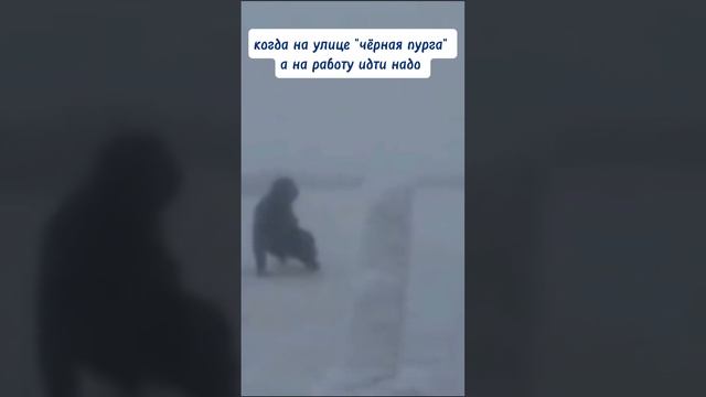 Ответственные норильчане