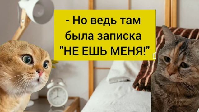 Котики которые в тренде. Разговор двух котов