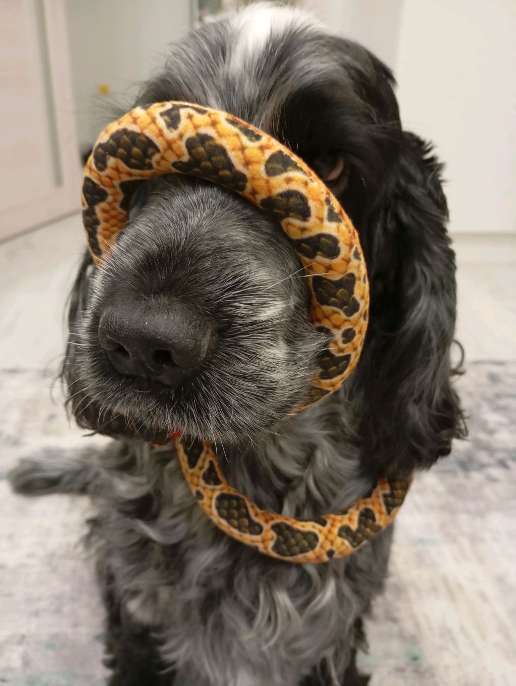 Лиза
