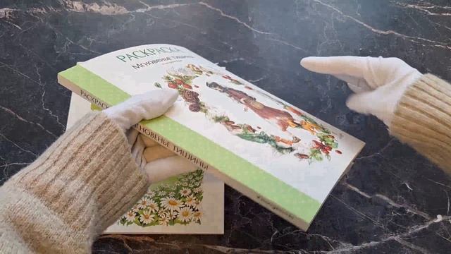 Комлект из 2 раскрасок антистресс. Весенним днём в Корее + Мгновенье тишины (ИК)
