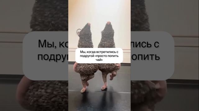 Ну да, ну да)