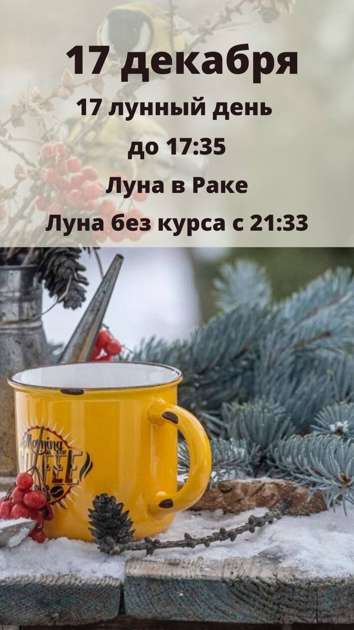 17 ДЕКАБРЯ - ЛУННЫЙ ДЕНЬ И АСТРО ПРОГНОЗ НА ВТОРНИК