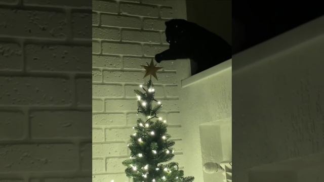 1000013050.mp4