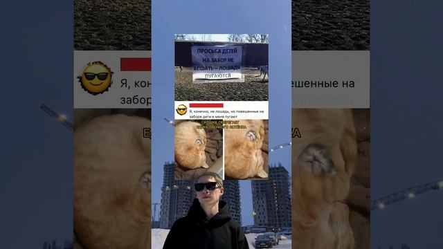 Интересная просьба 😎