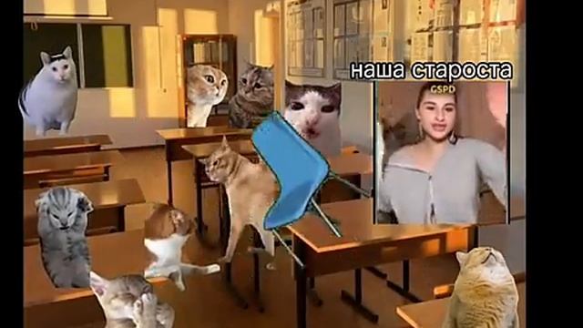 1000020887.mp4