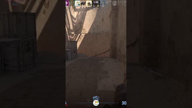 Zeus24121703