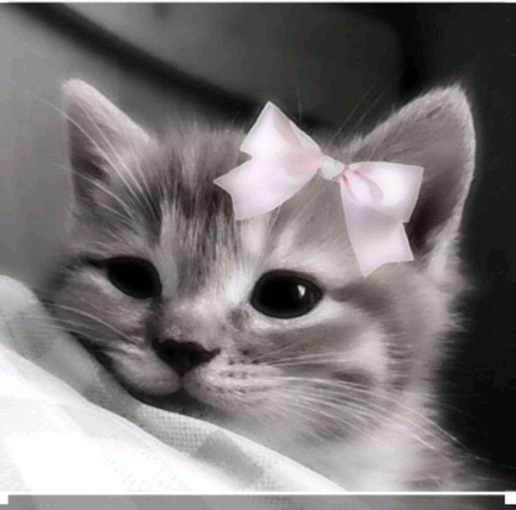Делаю Бебриков💋💋