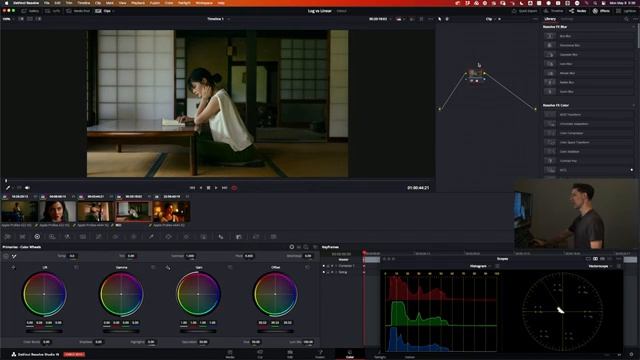 log vs. linear DaVinci Resolve