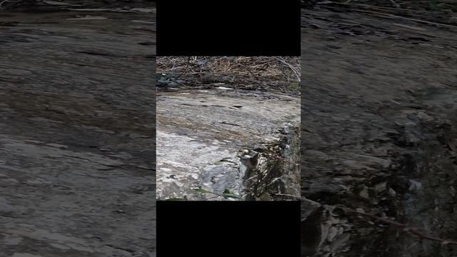 В_Урочище_Панагеи.mp4