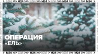 Ежегодная операция "Ель" стартовала в Москве - Москва 24