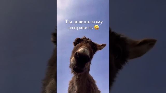 Если у вас тоже есть такой друг, то с вас лайк и подписка  #рекомендации #друг