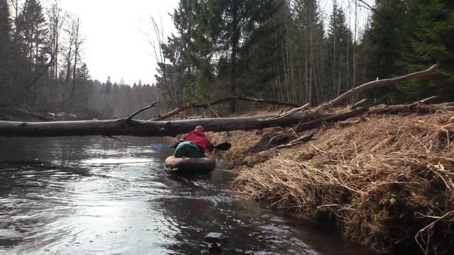 река Межа Тверская 22-24 апреля 2019