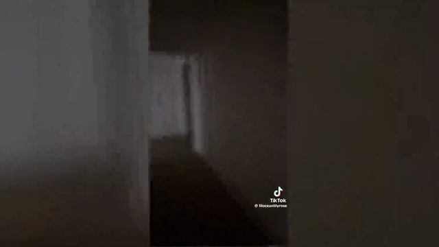 Best video of Tik Tok! 17.12.24 / 02