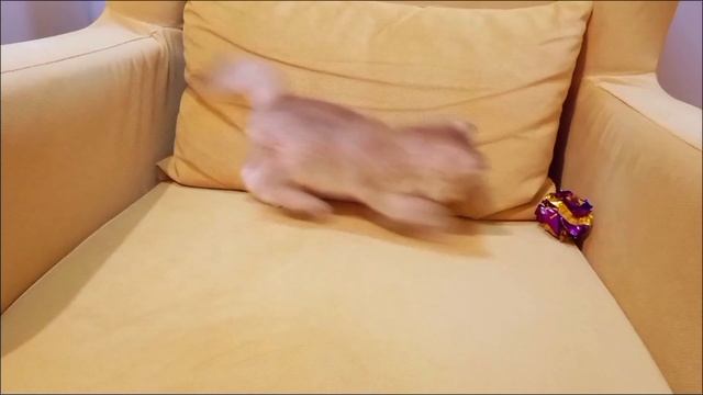 1000018843.mp4
