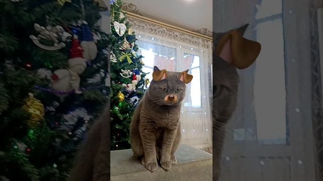 С Наступающим Вас!!!