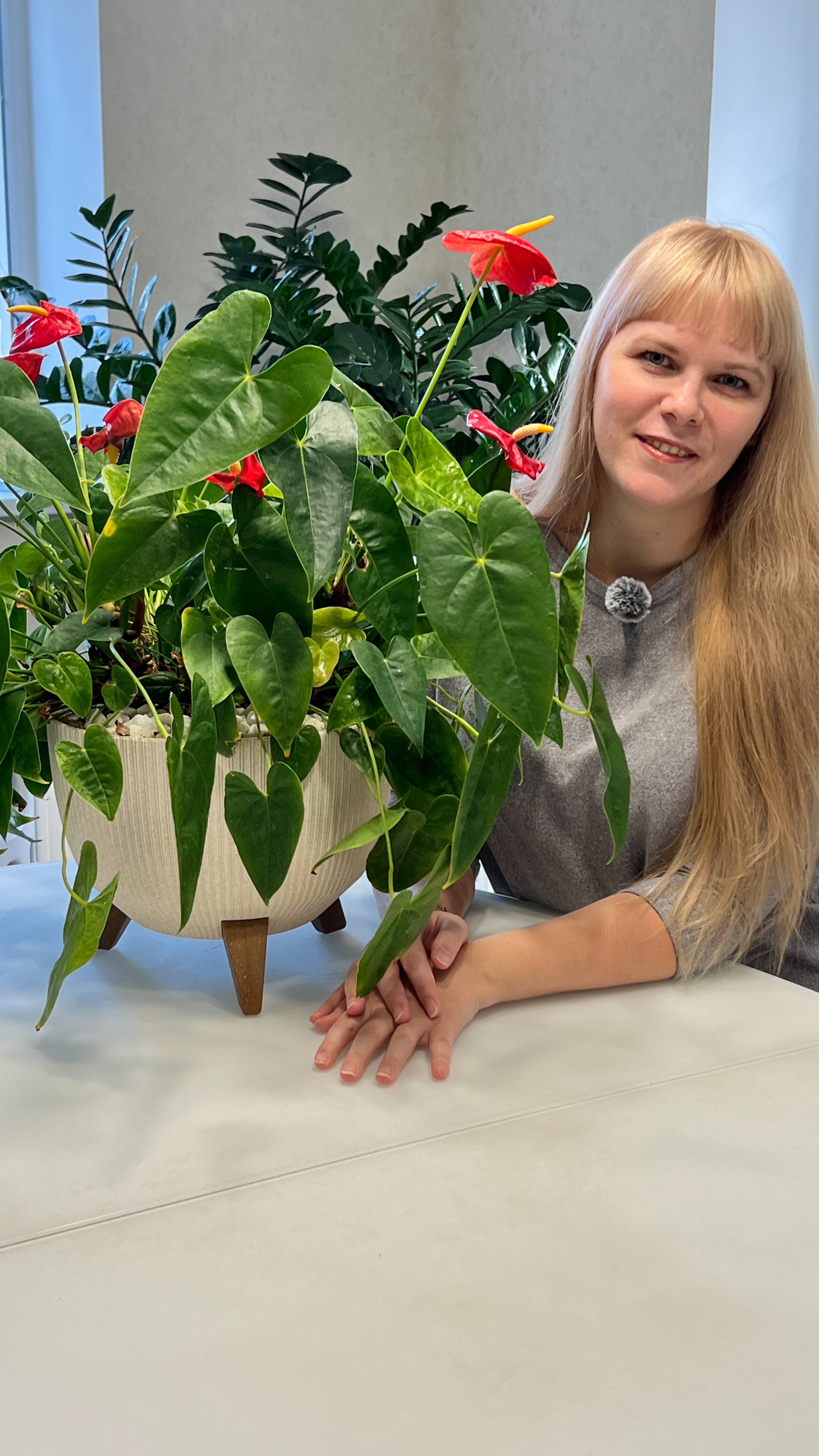 Антуриум. Выбираем правильный горшок и землю для посадки.