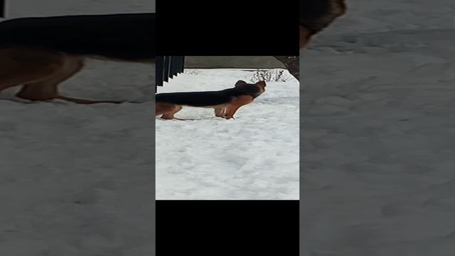 1000013369.mp4