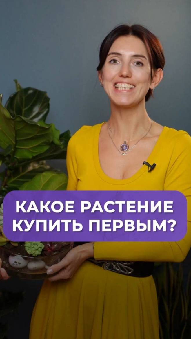 Идеальное домашнее растение для НОВИЧКОВ! #растения #уход #садоводство