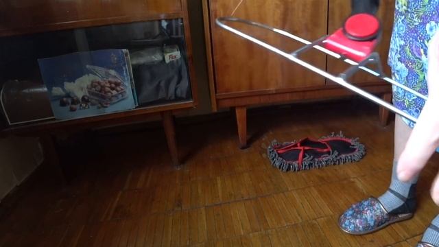 ВЛОГ Посадили имбирь / Бриллиантовая рука, костяная нога /Вот такая швабра 17-18 января 2020 г.