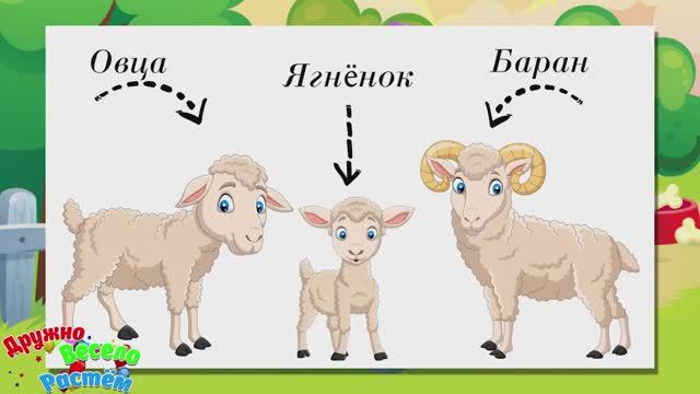 Домашние Животные и их Детёныши для Самых Маленьких + Карточки Домана + Видео про Животных для детей