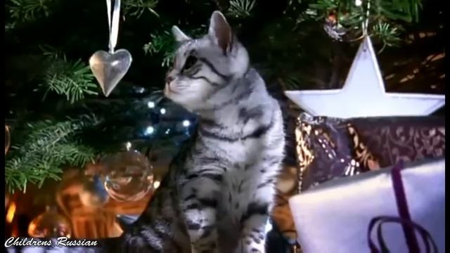 СЕРЕБРИСТЫЕ СНЕЖИНКИ ❆ Новогодние песни