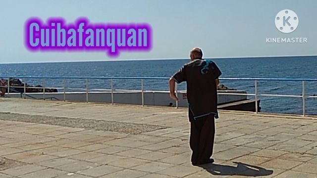 Тунбэй Фаньцзыцюань.