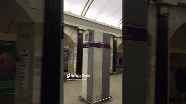 Санкт-Петербург. 17.12.2024. Посадочная платформа станции метро «Адмиралтейская». Фрагмент 4