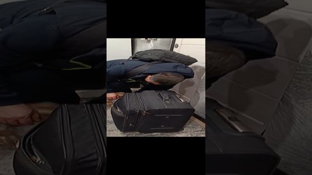 буба встречает хозяина 2 часть