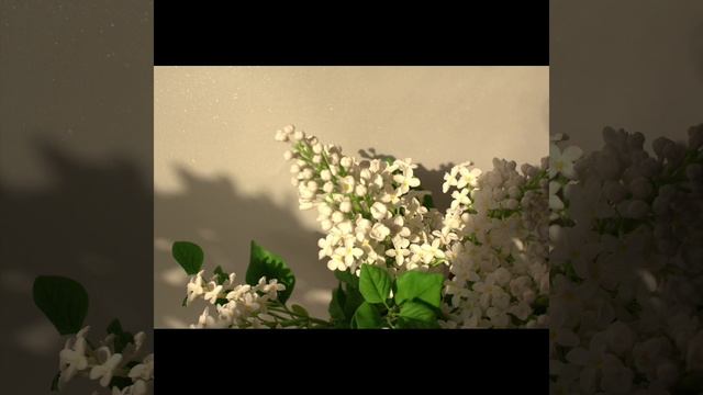 1000073429.mp4