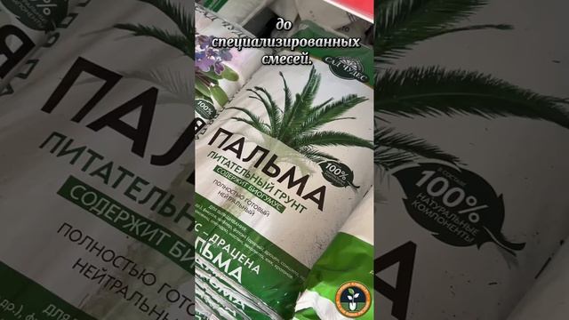 Торфогрунт для растений