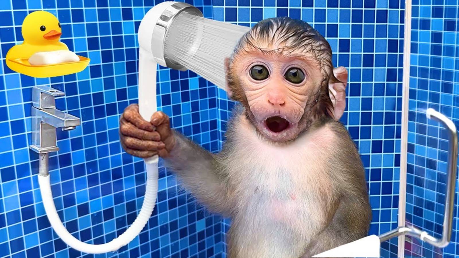 Играем вместе с Обезьянкой ! Заботимся о младших и играем с уточкой 🐒 ТРАНСЛЯЦИЯ для детей 👍