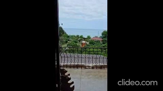 гд Апельсин
