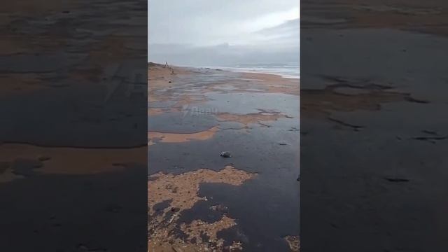 Пляжи Краснодарского края стали чёрными из-за мазута из потерпевших крушение танкеров Волгонефть-212
