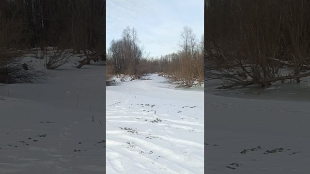 Протока Оби