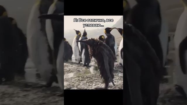 А вы справляетесь?