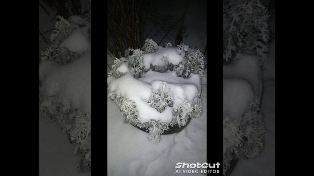 Зимнее видео (возможно будет 2 часть)