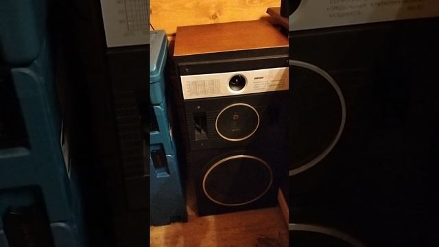 1000012955.mp4