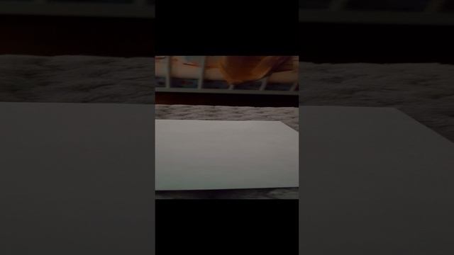 мяу