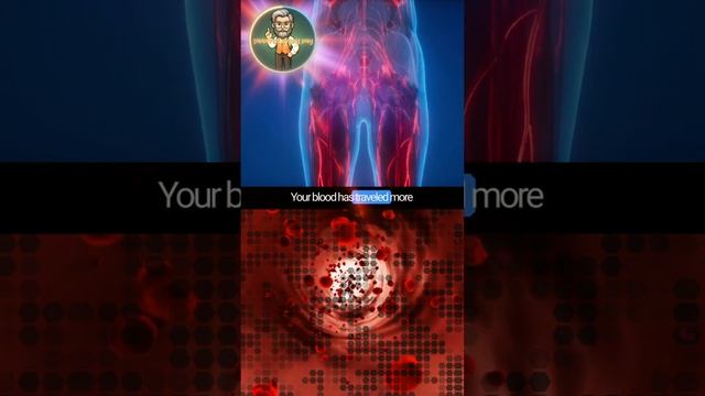 Your veins are 100,000 miles long!