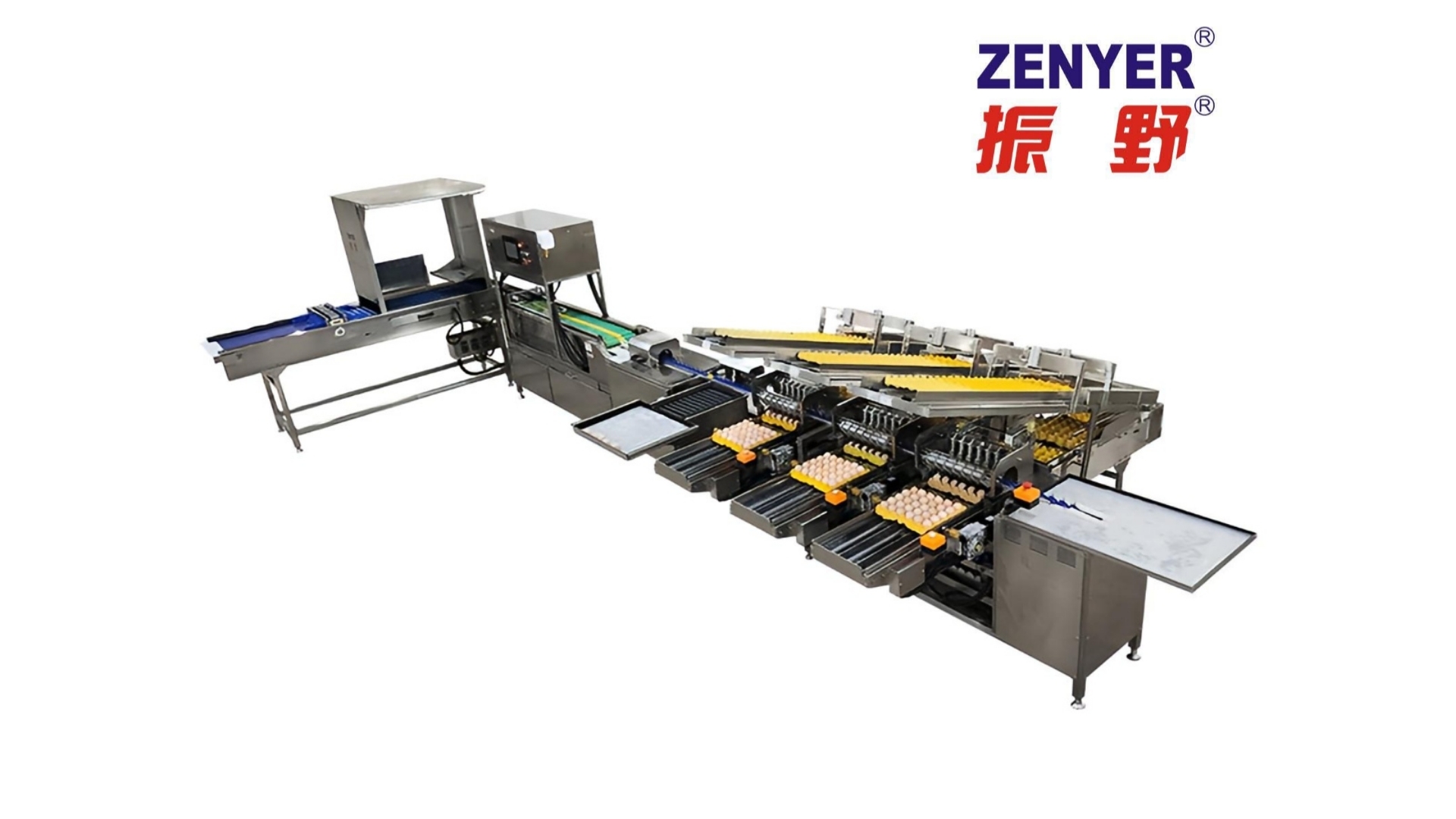 Zenyer 102BP egg grader with auto packer 5000 eggs/hour