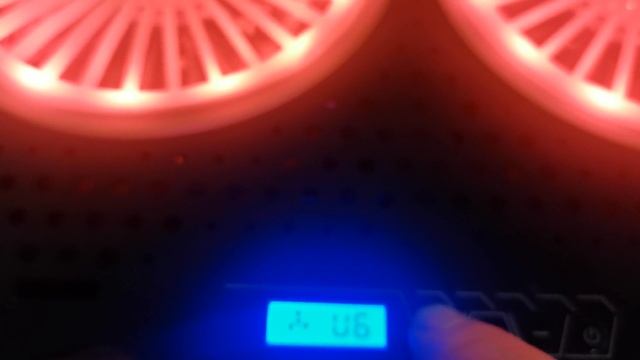 VID_20241216_131129