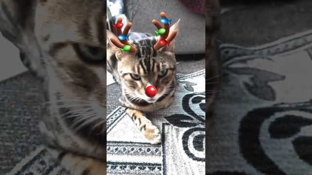 1000139125.mp4