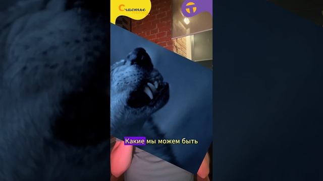 Как появился смех?