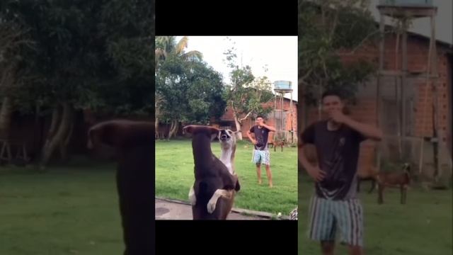 1000013035.mp4
